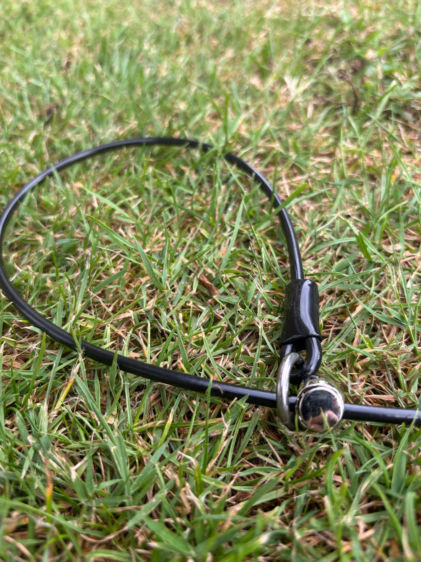 4mm Grot - Training collar