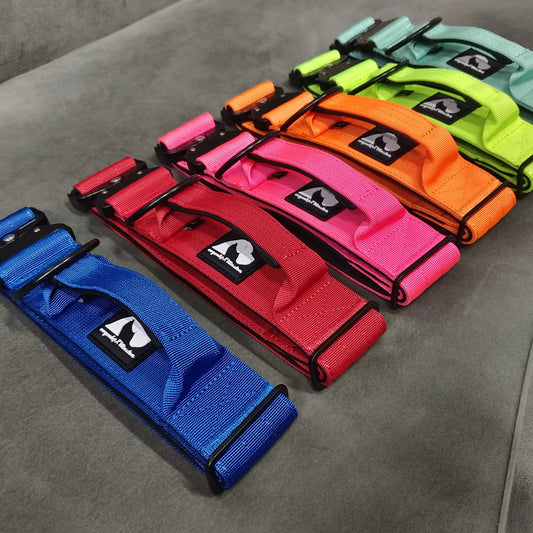 RogueK9 x Winston Tactical Collars