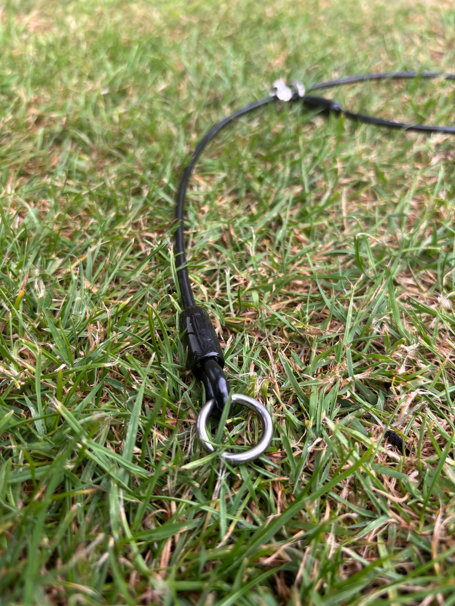 4mm Grot - Training collar