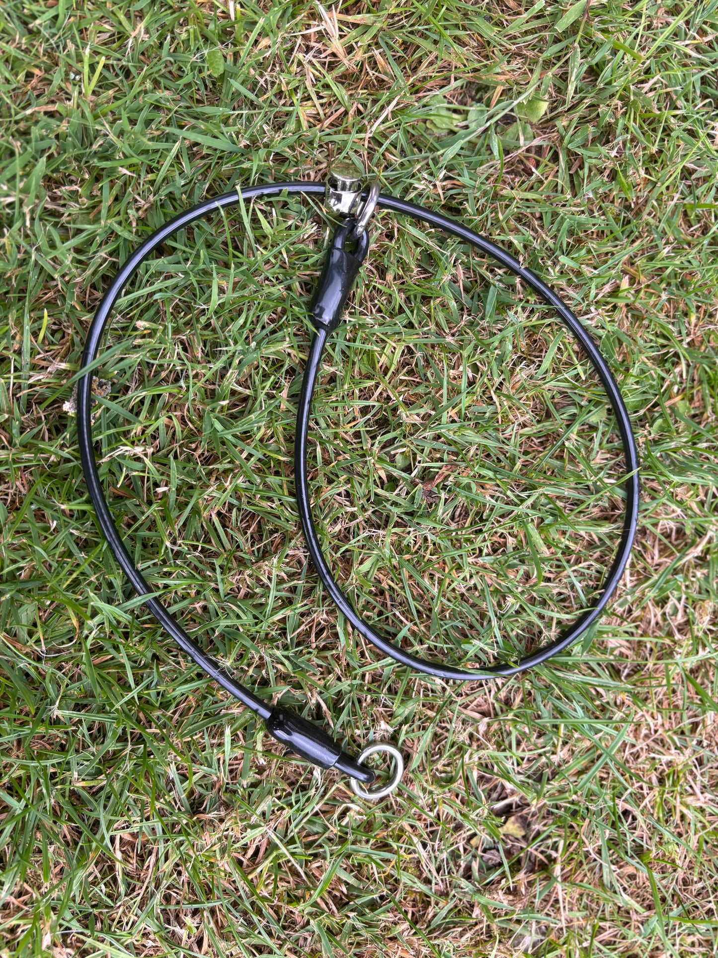 4mm Grot - Training collar