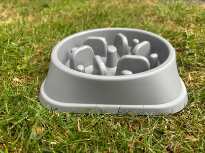 Slow feeder bowl