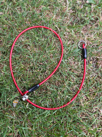 4mm Grot - Training collar