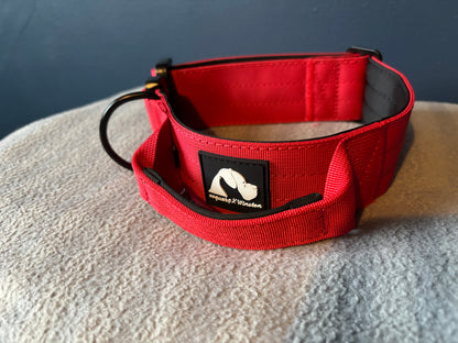 RogueK9 x Winston Tactical Collars