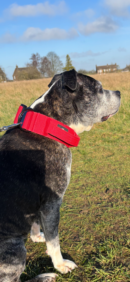 RogueK9 x Winston Tactical Collars