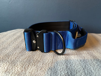 RogueK9 x Winston Tactical Collars