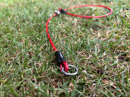 4mm Grot - Training collar