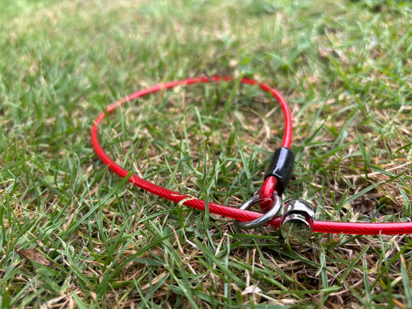 4mm Grot - Training collar