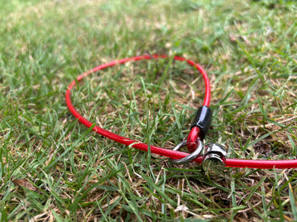 4mm Grot - Training collar