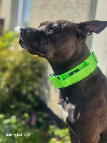 RogueK9 x Winston Tactical Collars