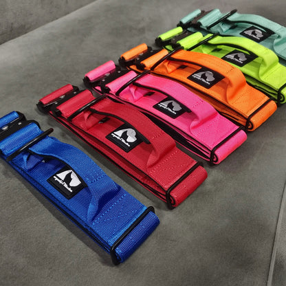 RogueK9 x Winston Tactical Collars