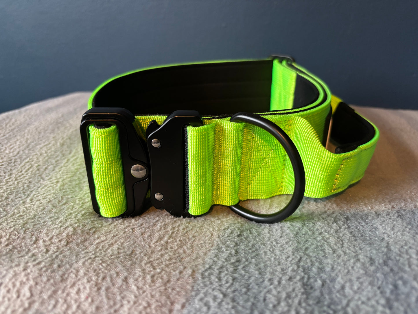 RogueK9 x Winston Tactical Collars