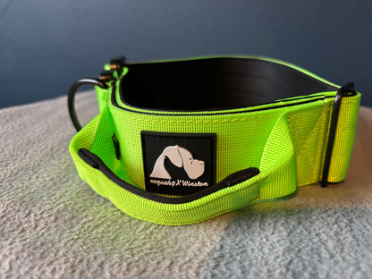 RogueK9 x Winston Tactical Collars