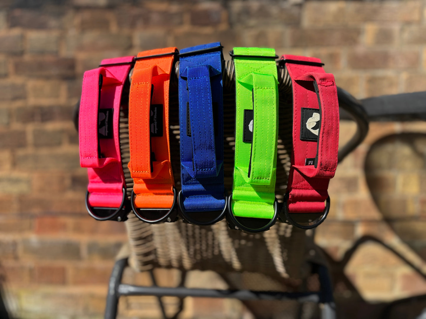 RogueK9 x Winston Tactical Collars