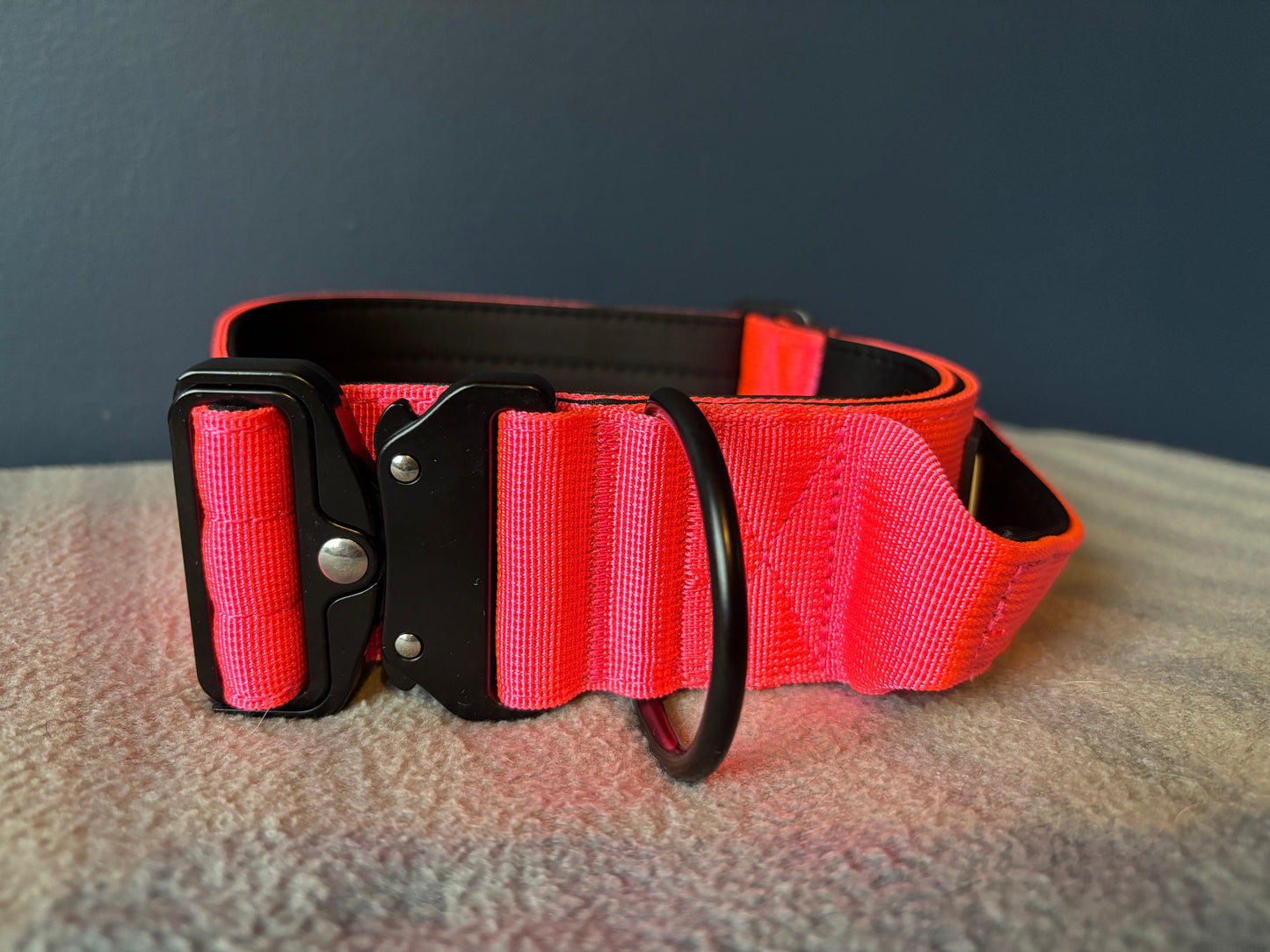 RogueK9 x Winston Tactical Collars