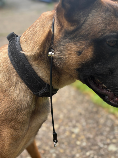 4mm Grot - Training collar