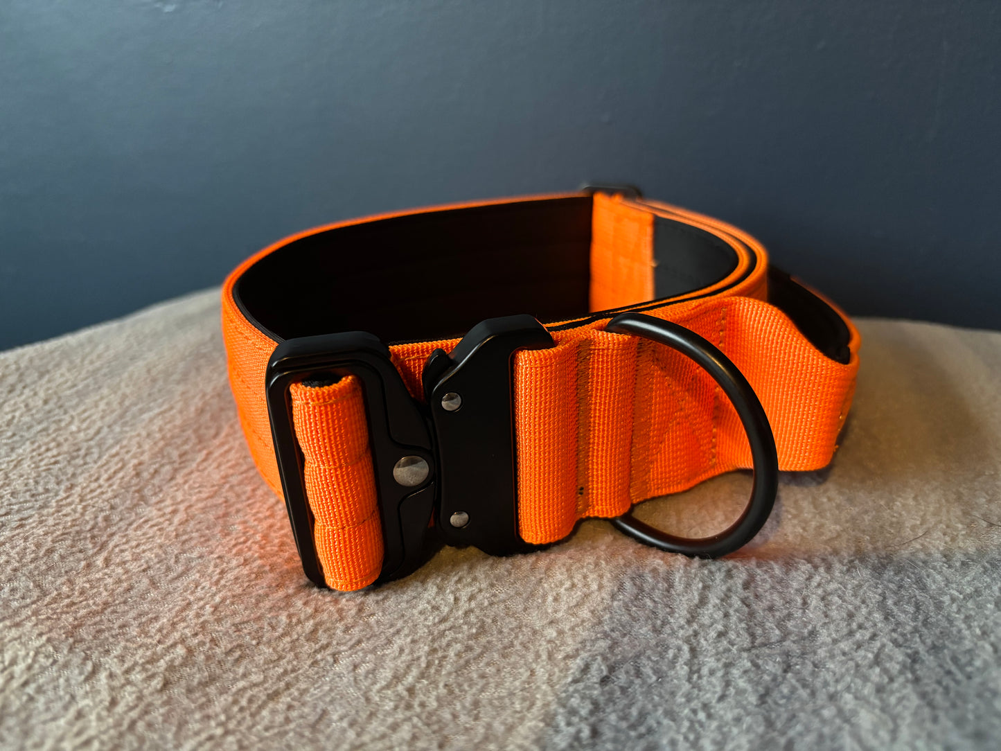 RogueK9 x Winston Tactical Collars