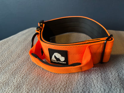 RogueK9 x Winston Tactical Collars